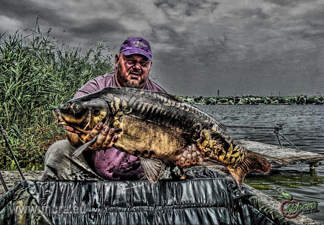 MeetCarp Romanian Awards 2013 - 0000003-3hdrmode2.jpg